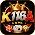 K116a Game